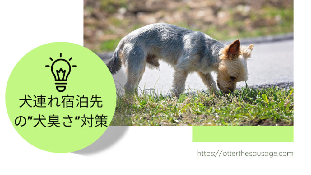 犬連れ宿泊グッズ Otter The Dachshund オッターはダックスフンド