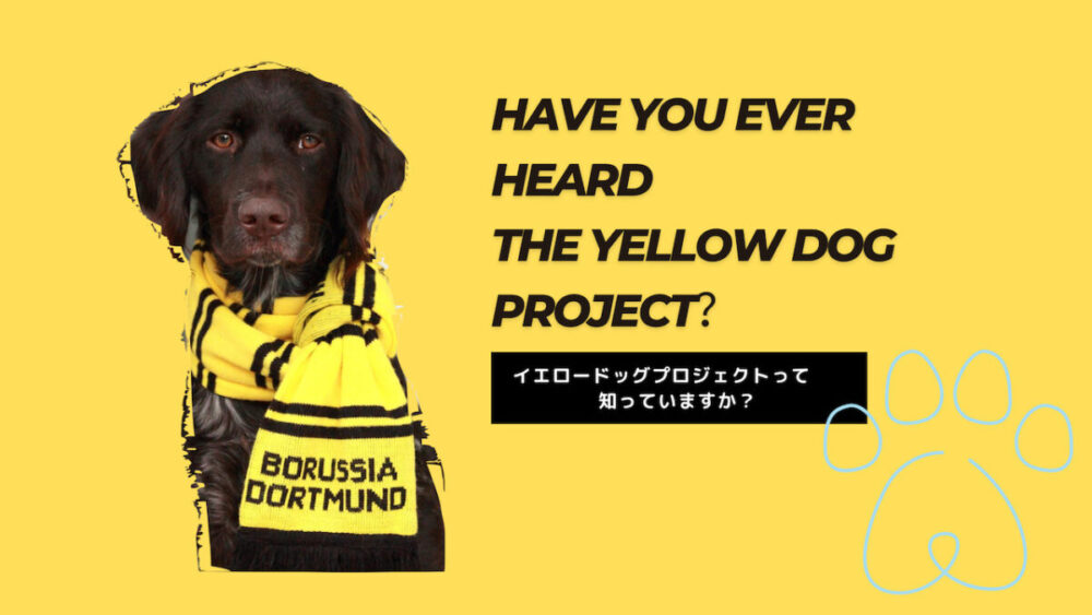 イエロードッグプロジェクト わんこにイエローリボンをつけている意味を知っていますか Otter The Dachshund オッターはダックスフンド