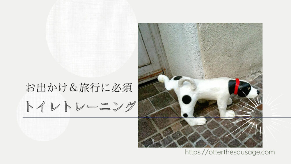 トレーニング 犬連れお出かけ 旅行に必須のトイレトレーニング Otter The Dachshund オッターはダックスフンド