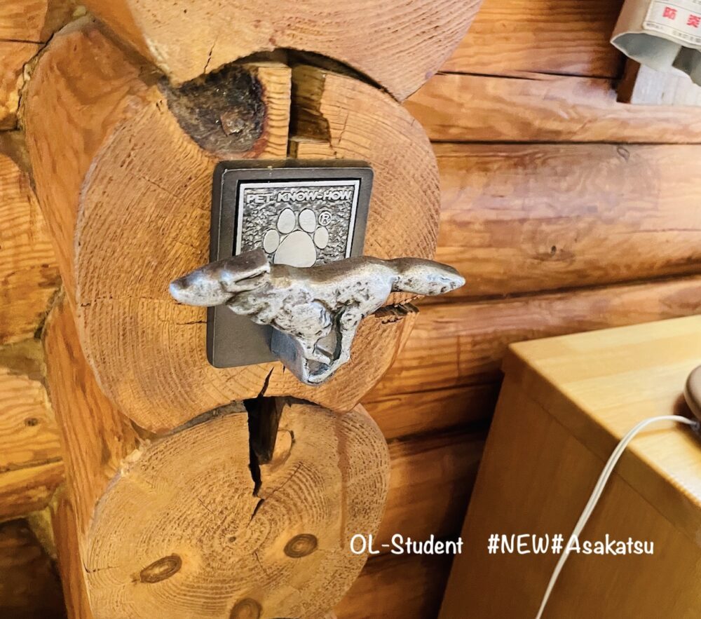 ホテル ステイしてわかった軽井沢プリンスホテルドッグヴィレッジの紹介 Otter The Dachshund オッターはダックスフンド