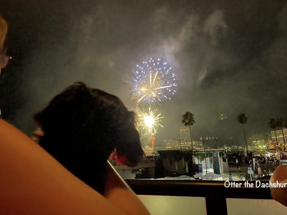 熱海旅館 料理旅館渚館 熱海サンビーチ激近な犬と泊まれる食事が美味しい温泉旅館 Otter The Dachshund オッターはダックスフンド 熱海旅館 料理旅館渚館 熱海サンビーチ激近な犬と泊まれる食事が美味しい温泉旅館 Otter The Dachshund オッターはダックスフンド