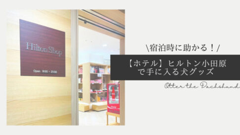 Blog Banner ブログ記事バナー 【ホテル】宿泊時に助かる！ヒルトン小田原のHiltonShopで手に入る犬グッズ