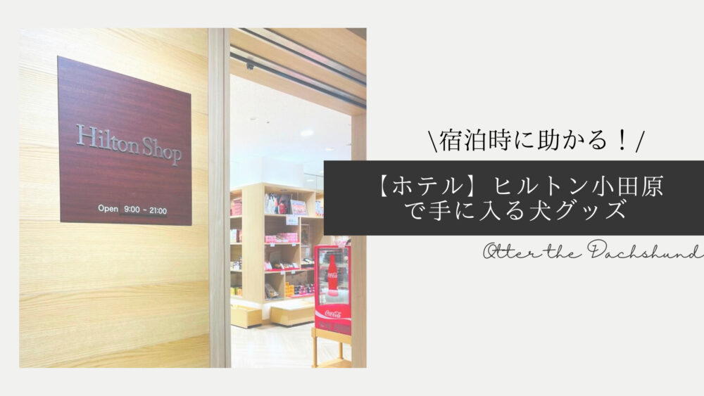 Blog Banner ブログ記事バナー 【ホテル】宿泊時に助かる！ヒルトン小田原のHiltonShopで手に入る犬グッズ