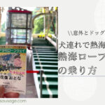Blog Banner ブログ記事バナー 【熱海】意外とドッグフレンドリーな熱海城に犬連れでロープウェイでアクセスする方法