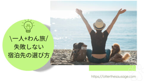 Blog Banner ブログ記事バナー 【犬連れ旅行】一人+わん旅したい人必見！二人きり旅行でも失敗しない宿泊先の選び方