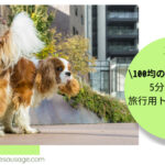 Blog Banner ブログ記事バナー 【旅の豆知識】足上げわんこ向け！百均の材料×5分でできる旅行用トイレの作り方
