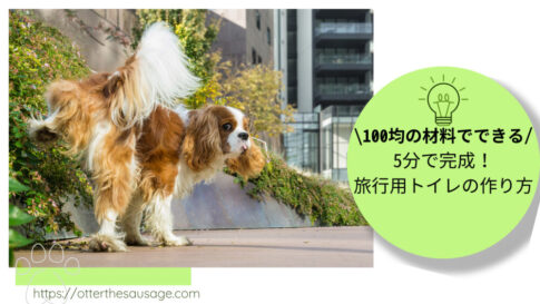 Blog Banner ブログ記事バナー 【旅の豆知識】足上げわんこ向け！百均の材料×5分でできる旅行用トイレの作り方