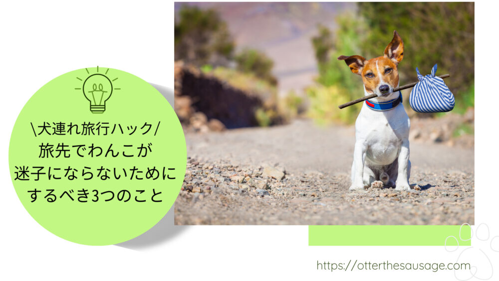 Blog-banner_otter-the-dachshund_travel-hack-with-dogs_three-things-must-to-do-for-prevent-missing-your-dog-during-travel_【犬連れ旅行】旅先でわんことはぐれないために旅行前にやるべき3つのこと