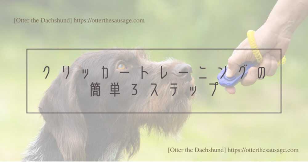 Blog Header image_犬と旅行_犬連れ旅行_dog training_clicker_クリッカートレーニングの簡単３ステップ