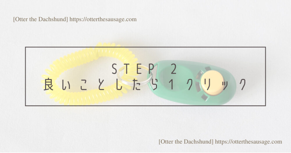 Blog Header image_犬と旅行_犬連れ旅行_dog training_clicker_ステップ２：良いことをしたら１クリックする
