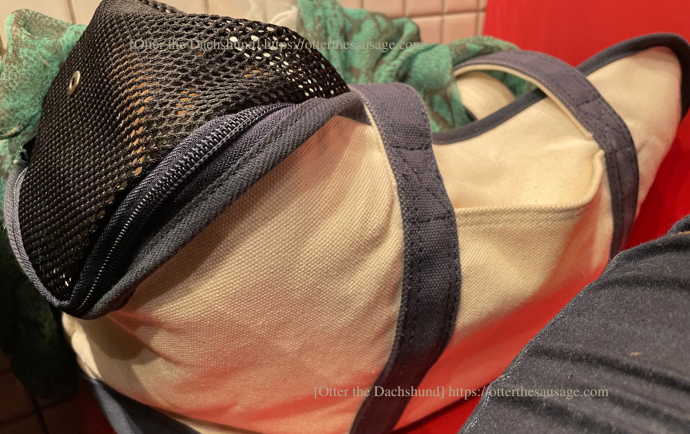 Blog image_犬と旅行_犬連れ旅行__軽井沢プリンスショッピングプラザ_熟成和牛焼肉エイジング・ビーフ_焼肉_202209_オッター_free stitch_フリーステッチ_キャリーバッグ