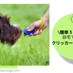 Blog Banner easy 3 step clicker training for dog