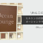 Blog Banner report of ocean lounge in Hilton Odawara