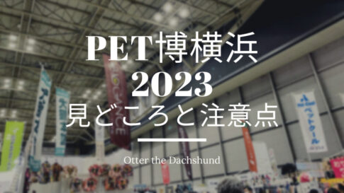 Blog Banner_otter the dachshund_pethaku yokohama 2023