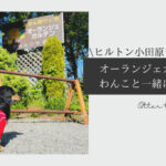 Blog Banner_犬と旅行_犬連れ旅行_犬とお出かけ_小田原_オーランジェガルテン_Otter the Dachshund_ヒルトン小田原から歩いていけるみかん狩り