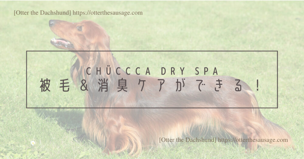Blog Header image_CHUCCCA dry spa_dog item_犬グッズ_グルーミング_ペット用美容器_オゾン発生器_チュッカドライスパ_被毛＆消臭ケアができる