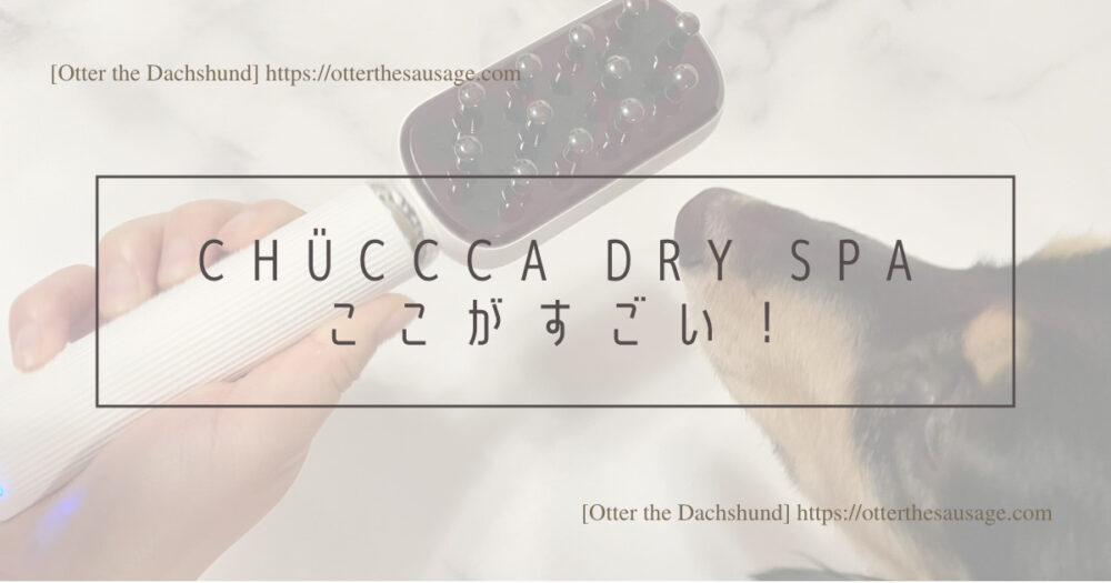 Blog Header image_CHUCCCA dry spa_dog item_犬グッズ_グルーミング_ペット用美容器_オゾン発生器_美容_健康_臭い_チュッカドライスパ_ここがすごい！