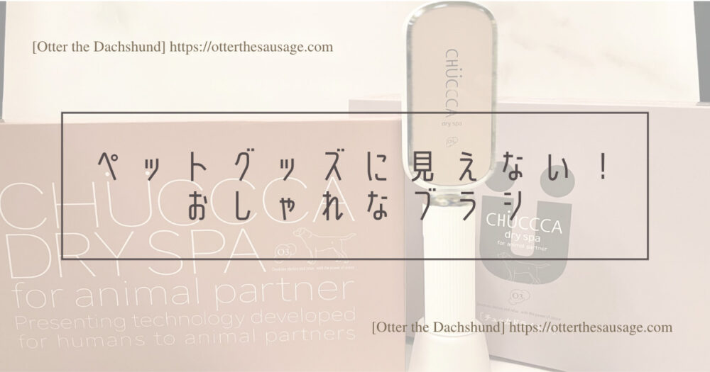 Blog Header image_CHUCCCA dry spa_dog item_犬グッズ_グルーミング_ペット用美容器_オゾン発生器_美容_健康_臭い_チュッカドライスパ_ペットグッズに見えない！おしゃれなブラシ
