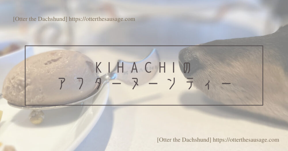 Blog Header image_犬と旅行_犬連れ旅行_【東京】キハチ 青山本店-ネットで予約できる！犬連れで優雅なアフタヌーンティー_オッターはダックスフンド_キハチのアフターヌーンティー