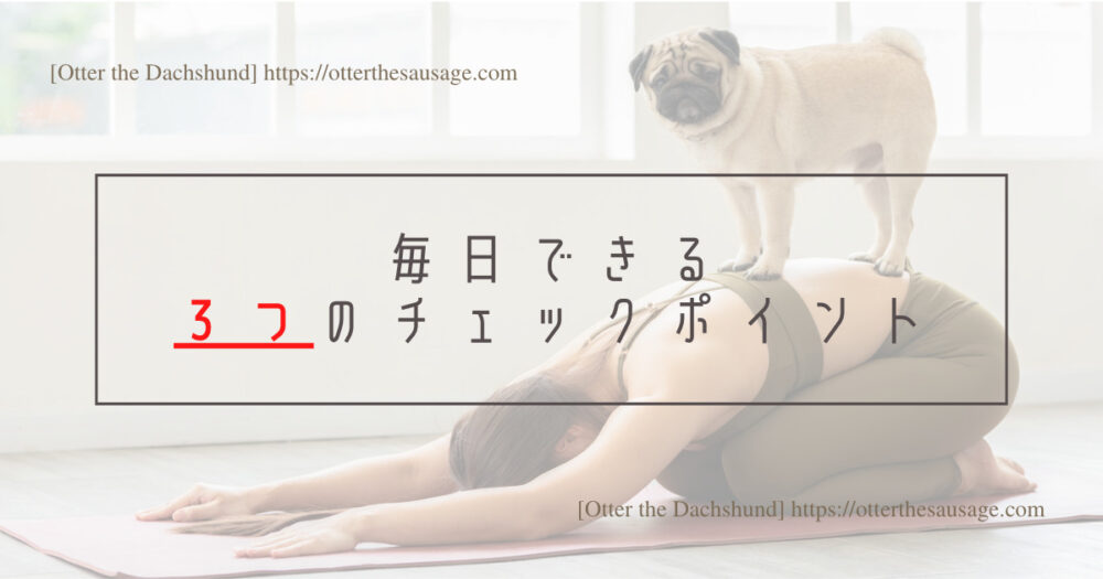 Blog Header image_犬のいる生活_【ヘルスケア】犬の管理栄養士が毎日している愛犬の３つの健康チェック_毎日できる３つのチェックポイント