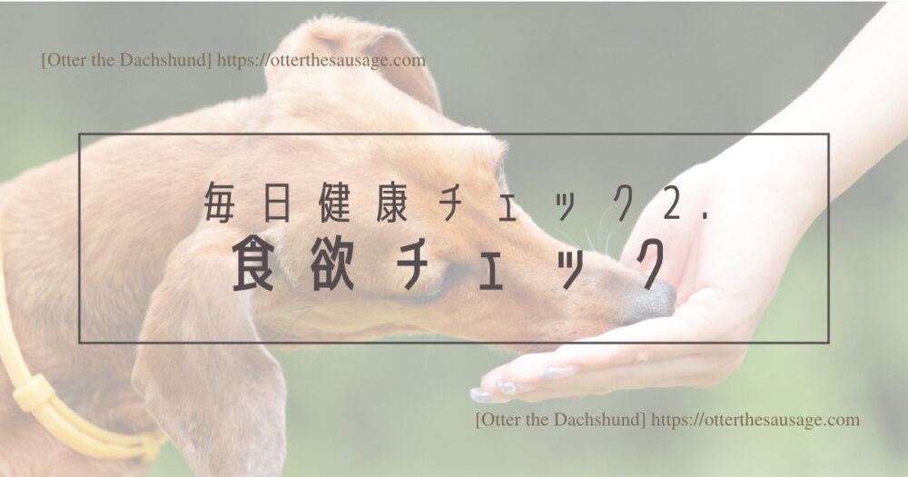Blog Header image_犬のいる生活_【ヘルスケア】犬の管理栄養士が毎日している愛犬の３つの健康チェック_毎日健康チェック2.食欲チェック