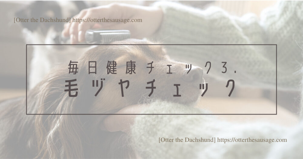 Blog Header image_犬のいる生活_【ヘルスケア】犬の管理栄養士が毎日している愛犬の３つの健康チェック_毎日健康チェック3.毛ヅヤチェック