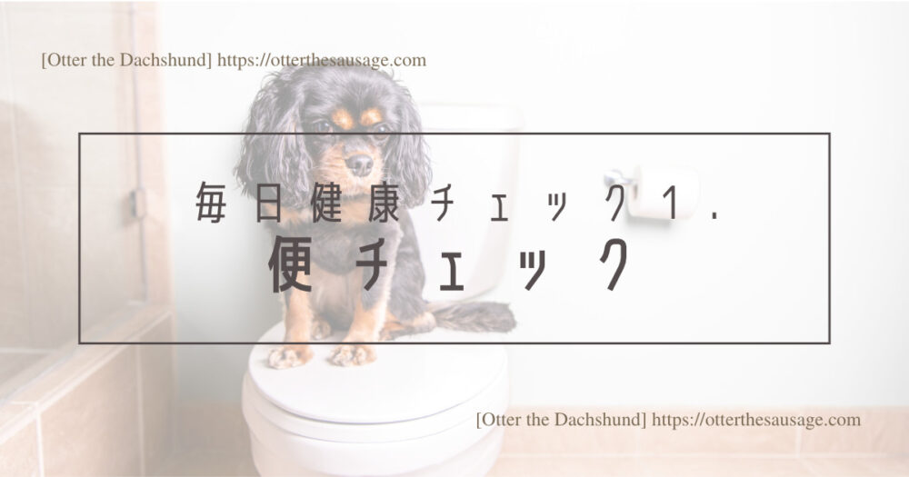Blog Header image_犬のいる生活_【ヘルスケア】犬の管理栄養士が毎日している愛犬の３つの健康チェック_毎日健康チェック１.便チェック
