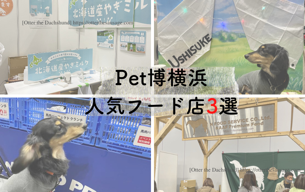 Blog image_犬とお出かけ_犬ブログ_ペット博2023横浜_カニンヘンダックスフンド_オッター_人気フード＆トリーツ店3選