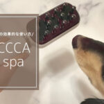 Blog Banner_handy pet care brush_how to use CHUCCCA dry spa