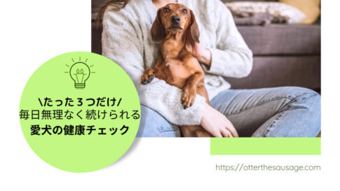 Blog Banner_just three check point-daily health care for dog_dachshund