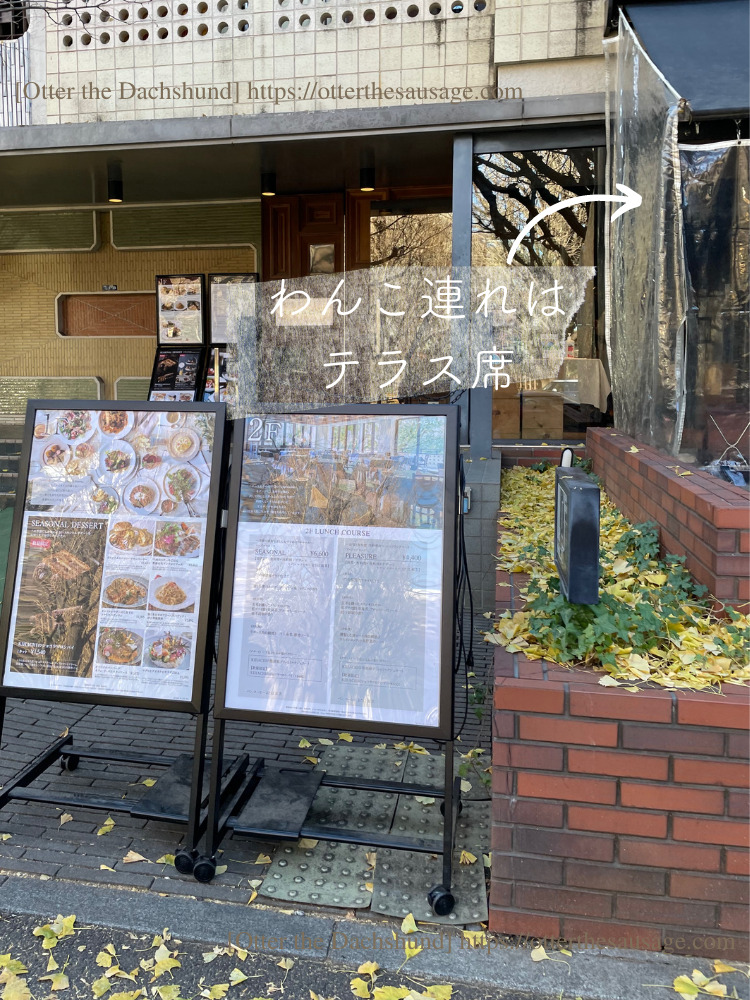 photo_ 犬と旅行_犬連れ旅行_【東京】キハチ 青山本店-ネットで予約できる！犬連れで優雅なアフタヌーンティー_オッターはダックスフンド_外観　_テラス席