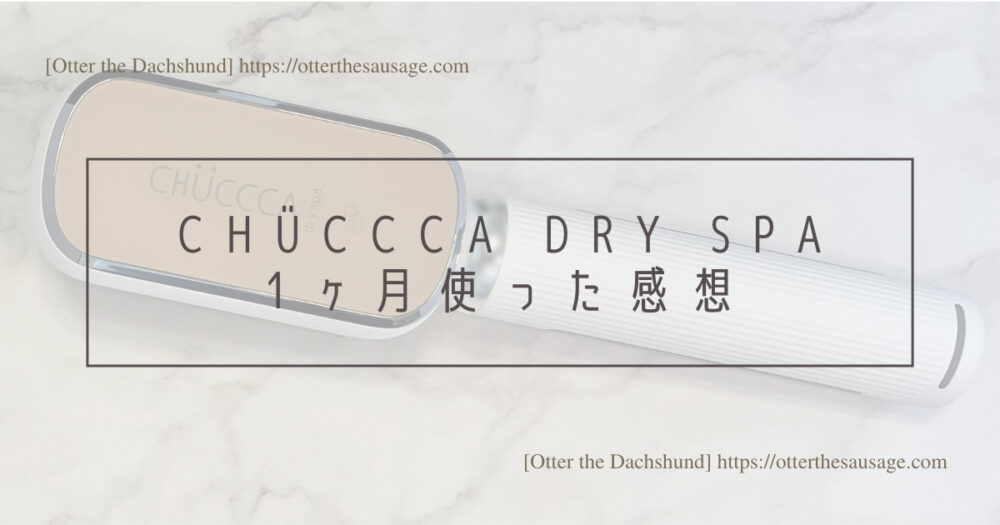Blog Header image_CHUCCCA dry spa_dog item_犬グッズ_グルーミング_ペット用美容器_オゾン発生器_美容_健康_臭い_チュッカドライスパ_１ヶ月使った感想