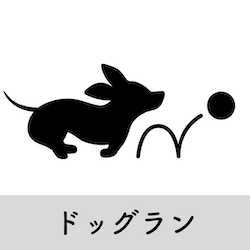 Blog image_hotel Category_ホテルカテゴリー_Otter the Dachshund_カニンヘンダックスフンド犬旅ブログ_ドッグラン