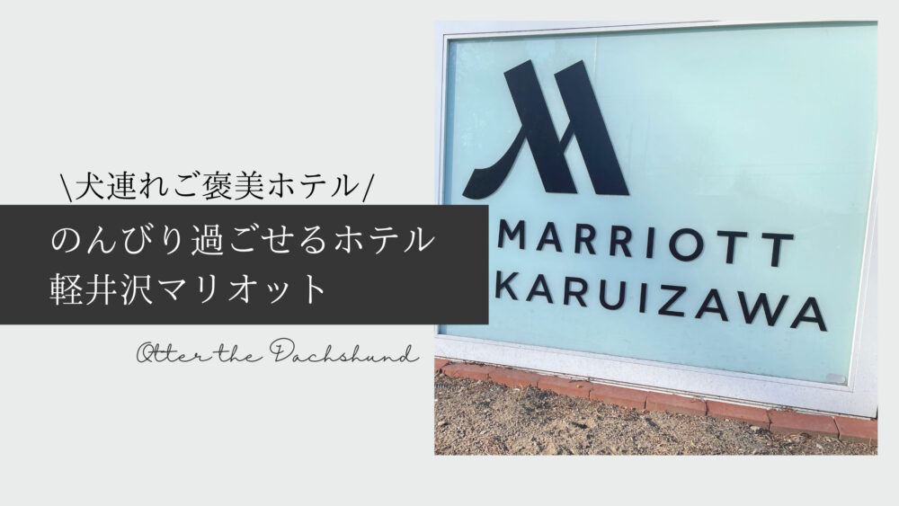 Blog Banner_dog friendly hotel review-karuizawa marriott hotel-Otter the Dachshund-travel with dogs-hang out with dogs_軽井沢マリオット_犬連れ旅行_ホテル宿泊レビュー_犬と旅行