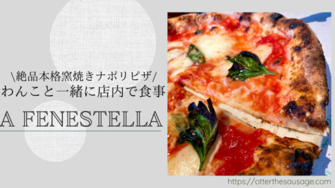 Blog Banner A FENESTELLA_Neapolitan-style pizzeria with dogs in Naka Karuizawa