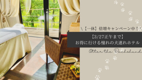 Blog Banner-Double Points Campaign by IKKYU TRAVEL-by noon-March 27-dog friendly hotel