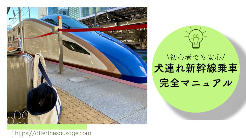 Blog Banner_travel tips for ride on bullet train with dogs_Otter the Dachshund
