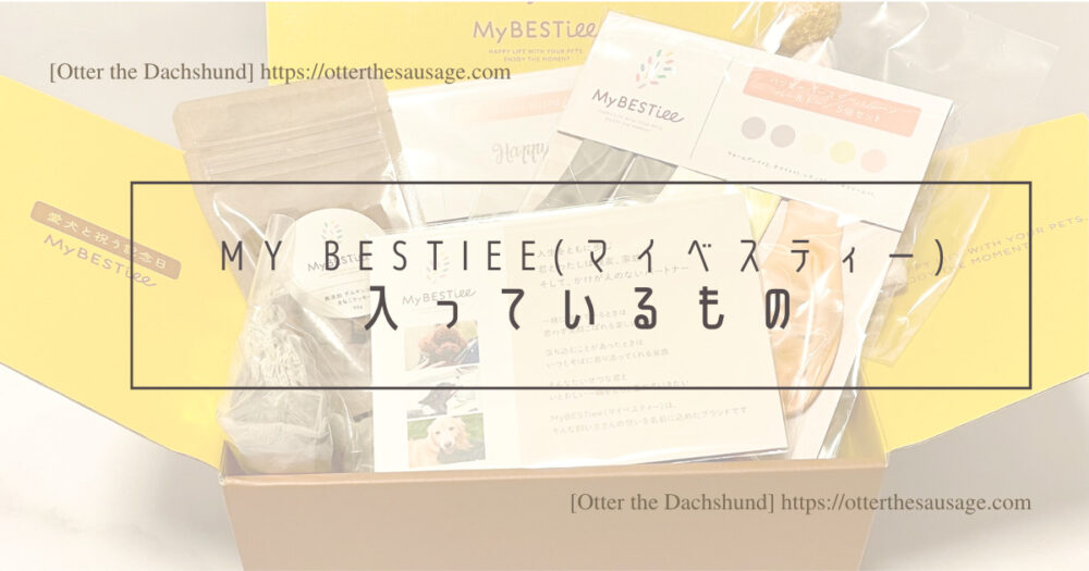 Blog Header image_Birthday gift box for dog_My BESTiee_ハッピーバースデーボックス_マイベスティー_Otter the Dachshund_中に入っているもの