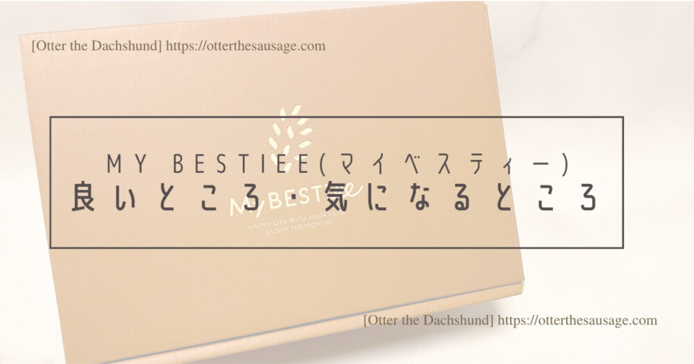 Blog Header image_Birthday gift box for dog_My BESTiee_ハッピーバースデーボックス_マイベスティー_Otter the Dachshund_良いところ・気になるところ
