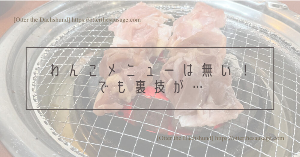 Blog Header image_犬と旅行_犬連れ旅行_karuizawa_yakiniku bbq_koshuen_dog friendly restaurant_軽井沢_焼肉_犬と外食_店内で食事ができる_光州苑_わんこメニューは無い！でも裏技が…