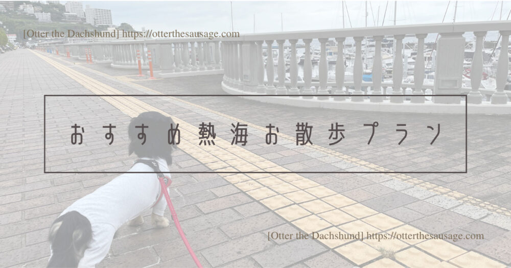 Blog Header image_犬と旅行_犬連れ旅行_【熱海】愛犬と一緒に楽しむ！おすすめ温泉街ぶらり散歩プラン_おすすめ熱海お散歩プラン