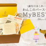 Blog Banner Birthday gift box for dog_My BESTiee