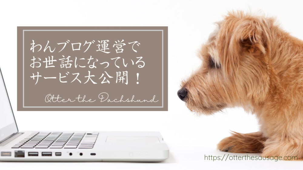 Blog Banner Otter the Dachshund_pet-blog-service-recommendation＿犬ブログ_運営_サービス＿参考資料_役立つサービス