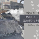 Blog Banner_enjoy-atami-with-dog-hot-spring-stroll-plan_【熱海】愛犬と一緒に楽しむ！おすすめ温泉街ぶらり散歩プラン