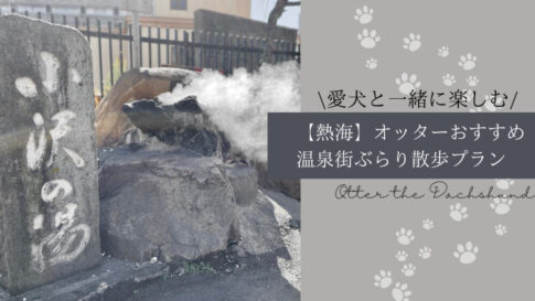 Blog Banner_enjoy-atami-with-dog-hot-spring-stroll-plan_【熱海】愛犬と一緒に楽しむ！おすすめ温泉街ぶらり散歩プラン