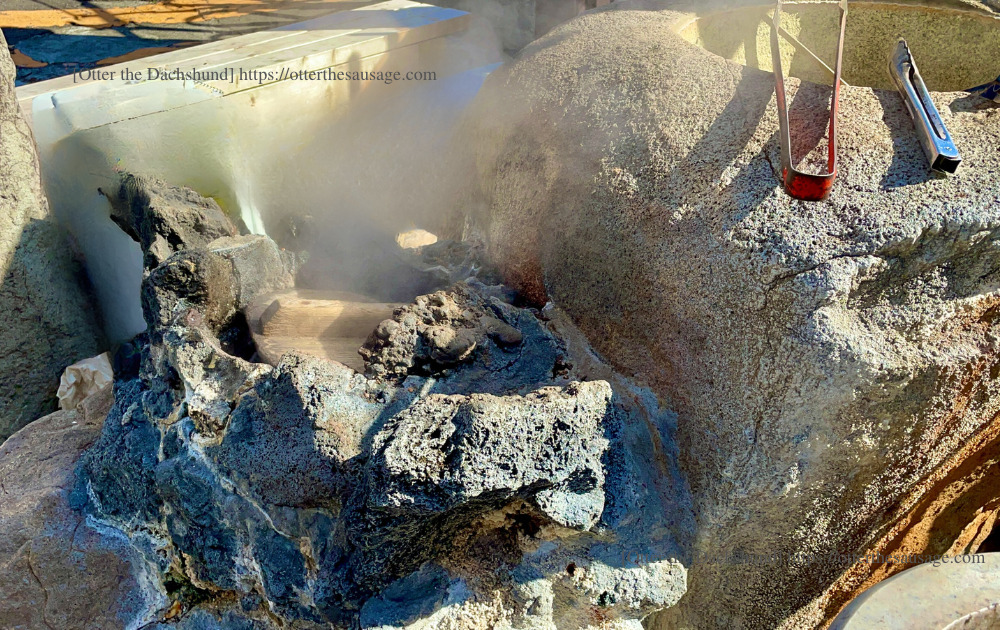 enjoy atami with dog hot spring stroll plan_travel with dog_【熱海】愛犬と一緒に楽しむ！おすすめ温泉街ぶらり散歩プラン_202302_小沢の湯_温泉卵