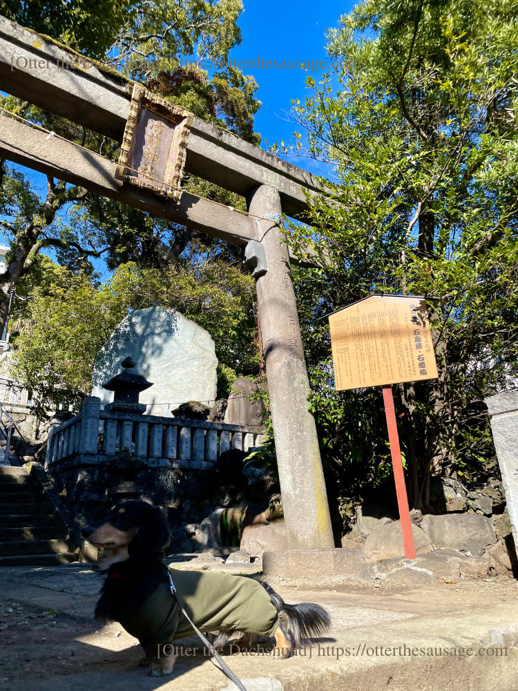 enjoy atami with dog hot spring stroll plan_travel with dog_【熱海】愛犬と一緒に楽しむ！おすすめ温泉街ぶらり散歩プラン_オッター_湯前神社