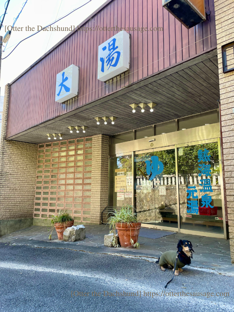 enjoy atami with dog hot spring stroll plan_travel with dog_【熱海】愛犬と一緒に楽しむ！おすすめ温泉街ぶらり散歩プラン_大湯_オッター
