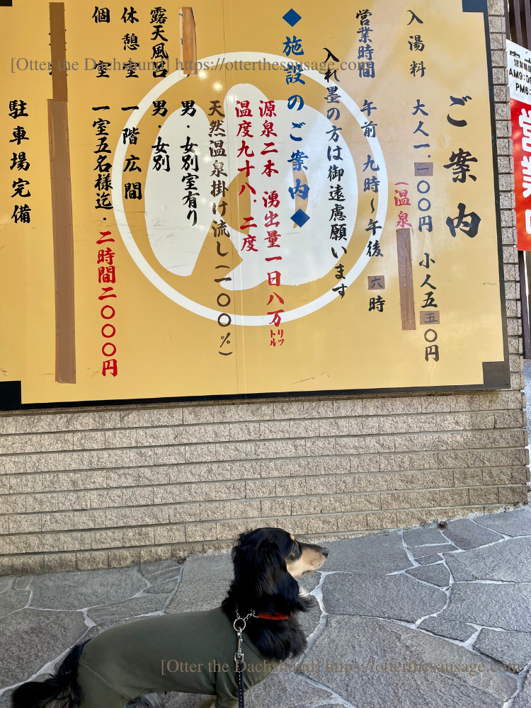 enjoy atami with dog hot spring stroll plan_travel with dog_【熱海】愛犬と一緒に楽しむ！おすすめ温泉街ぶらり散歩プラン_大湯看板_202302_オッター