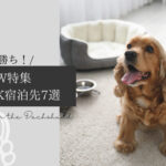 ikkyu-travel web site-GW dog friendly hotel sale